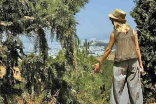 Εκεί ψηλά στον Υμηττό…