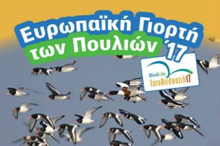 Γιορτάζουμε τη φθινοπωρινή μετανάστευση