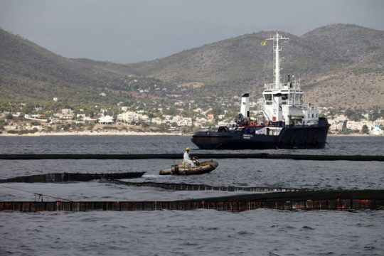 Ξεκινά η διαδικασία για τις αποζημιώσεις