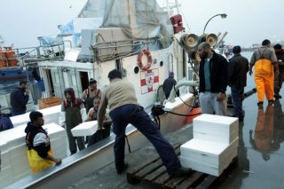 Η μόλυνση του Σαρωνικού «χτυπά» τους ιχθυοπώλες