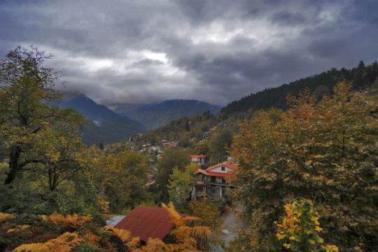 Αυλαία για τη β’ φάση ανάρτησης δασικών χαρτών