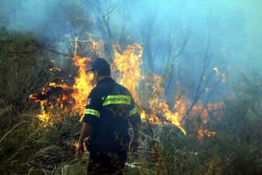 Υπό έλεγχο η πυρκαγιά στη Ρογδιά Ηρακλείου