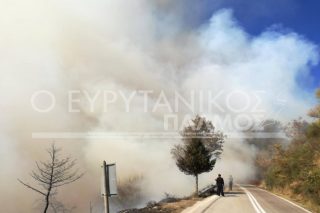 Στάχτη δεκάδες στρέμματα δάσους στο Καρπενήσι