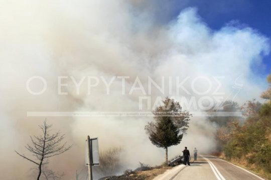 Στάχτη δεκάδες στρέμματα δάσους στο Καρπενήσι