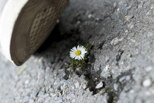 Κλιματική αλλαγή: έγκλημα ή αυτοκτονία;
