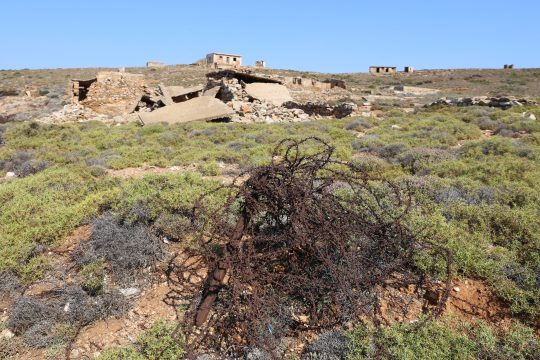 Η μνήμη: ταυτότητα ή ιδεολογία;