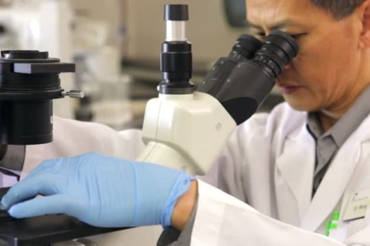 Η μικροχειρουργική του ανθρώπινου DNA