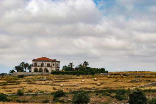 Βία και εκμετάλλευση εις βάρος εργατριών στη Σικελία