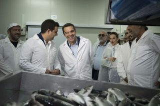 Φυσικό αέριο, οδικός άξονας Γιάννινα – Κακαβιά και Γεωπονική Σχολή στην Αρτα