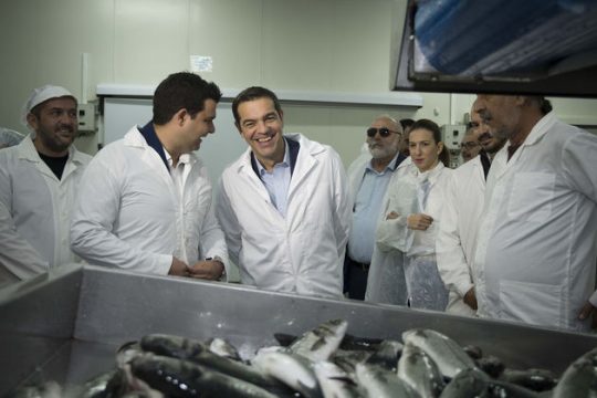 Φυσικό αέριο, οδικός άξονας Γιάννινα – Κακαβιά και Γεωπονική Σχολή στην Αρτα