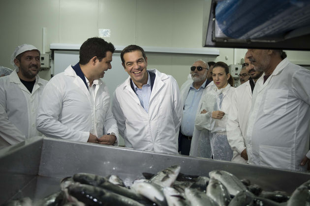 Φυσικό αέριο, οδικός άξονας Γιάννινα – Κακαβιά και Γεωπονική Σχολή στην Αρτα