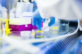 Ποινικές διώξεις για το σκάνδαλο με τα βλαστοκύτταρα