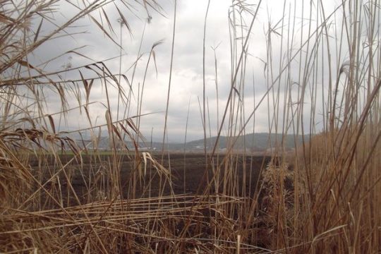 Καταπατητές με… επιδότηση