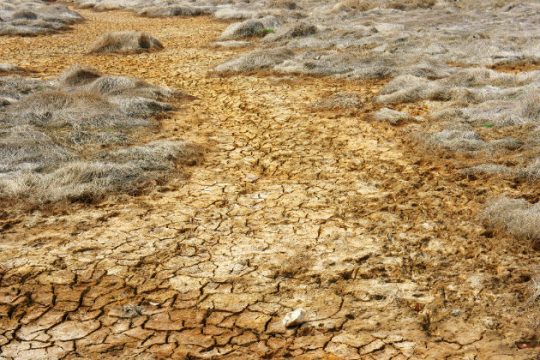 «Ο χρόνος για τον πλανήτη Γη τελειώνει»