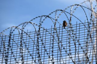 Ανθρωποφαγία για μια απλή απονομή χάριτος
