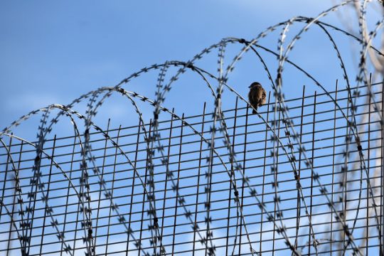 Ανθρωποφαγία για μια απλή απονομή χάριτος