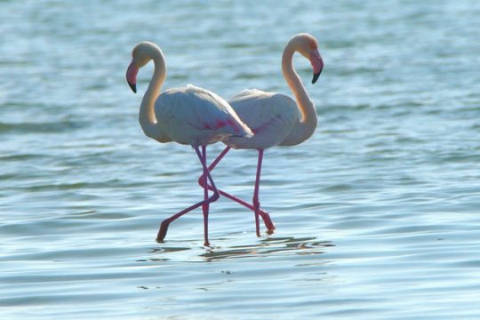 Απεργούν οι εργαζόμενοι στο δίκτυο NATURA