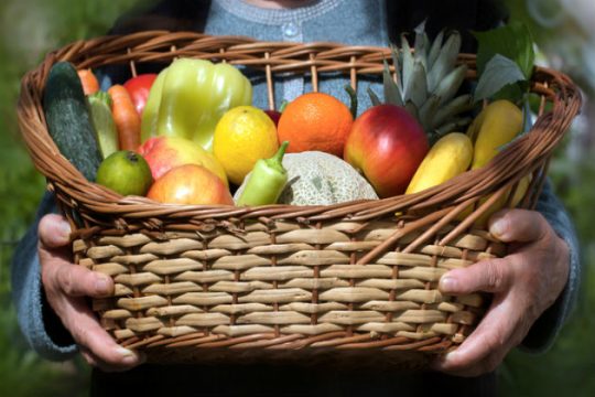Η αλλαγή βάρους της «Μπέμπας»