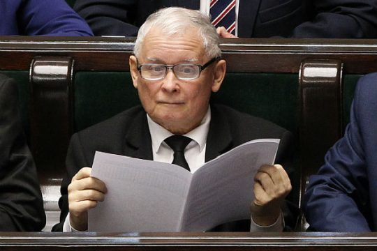 Πιο ενδιαφέρουσες… οι γάτες από τη  συνεδρίαση της Βουλής
