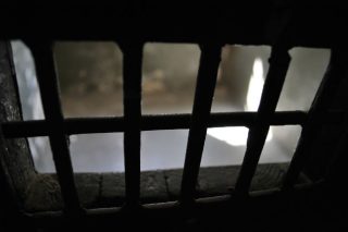 Ρίζα του ήλιου, πολιτεία οραμάτων