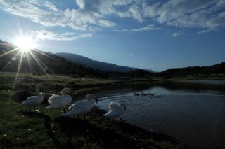 Αλλάζει ριζικά ο χάρτης των περιοχών Natura