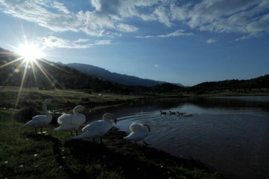 Αλλάζει ριζικά ο χάρτης των περιοχών Natura