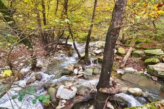 Το νόημα…