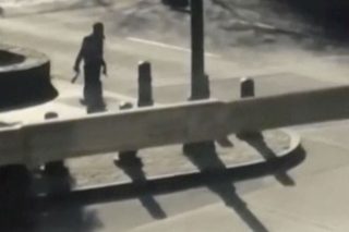 Ενας μοναχικός λύκος βγαλμένος από… λοταρία