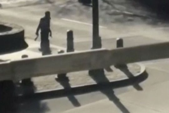 Ενας μοναχικός λύκος βγαλμένος από… λοταρία