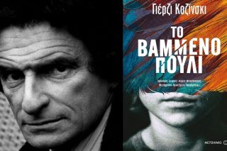 Ενα μυθιστόρημα βίαιης ενηλικίωσης