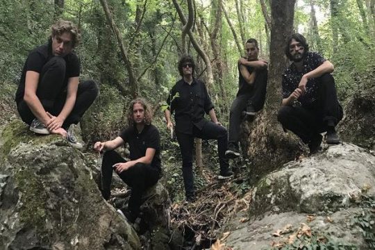Στη «Ζούγκλα» του πανκ ροκ