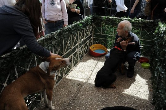 Αδέσποτες μέρες
