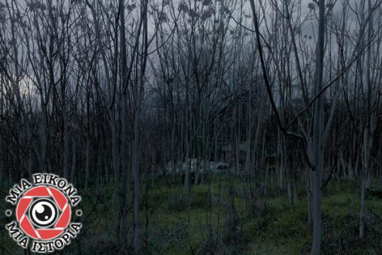 Μεσογειακό Φεστιβάλ Φωτογραφίας: Ο κήπος