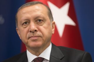 Εσωτερικές αντιδράσεις και διεθνείς σύμμαχοι