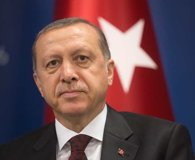 Εσωτερικές αντιδράσεις και διεθνείς σύμμαχοι