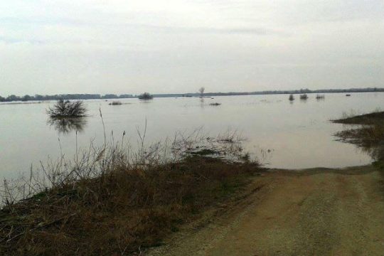 Πρόσφυγας πέθανε στα νερά του Έβρου