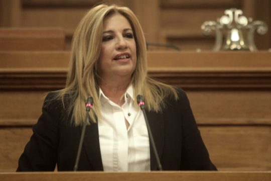 «Πρωταγωνιστικό ρόλο» βλέπει η Φώφη Γεννηματά