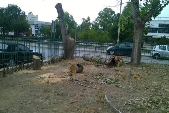 Κοπή 19 δέντρων και παράνομη χωροθέτηση παιδικής χαράς στην Ηλιούπολη