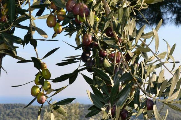 Οι άνθρωποι κάνουν τη διαφορά