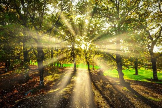 95 νέες περιοχές στο δίκτυο Natura