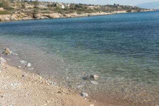 «Παραδίδουμε τις παραλίες πιο καθαρές από ό,τι πριν το ναυάγιο»