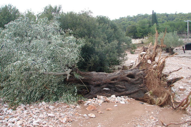 Το χρονικό μιας προαναγγελθείσας καταστροφής