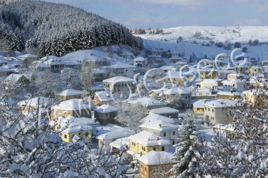 Σισάνι, Νάματα, Βλάστη