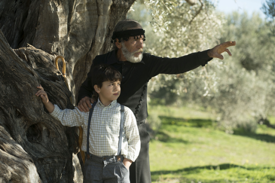 Η Creta Farms Δοξάζει το Ελαιόλαδο με έναν Ύμνο στις Ρίζες Όλων Μας