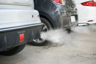 Ενοχα πειράματα και στην Ολλανδία