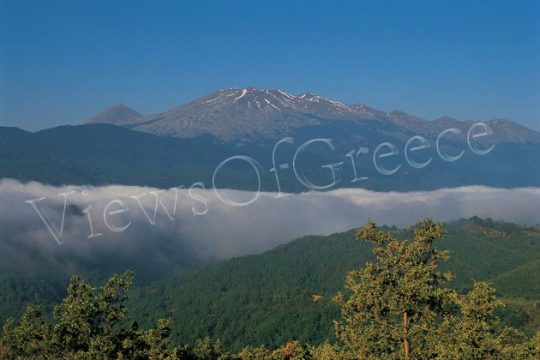 Μαγευτικό Φαλακρό βουνό