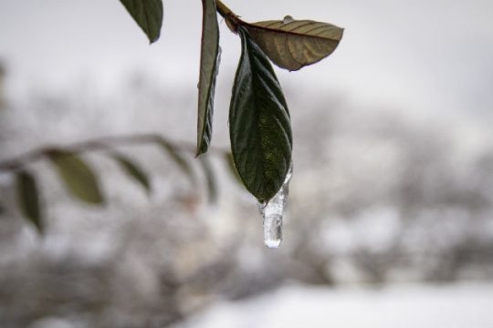 Τσουχτερό κρύο μέχρι το τέλος της εβδομάδας