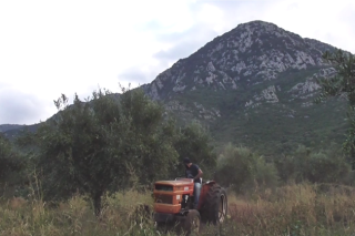 Ο Μπάμπης ο… μπλουζ