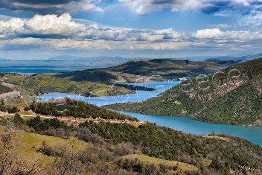 Στον ίσκιο των ελάτων