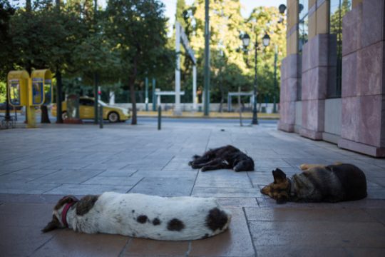 Κυκλοφοριακές ρυθμίσεις στην Αθήνα την Πρωτοχρονιά